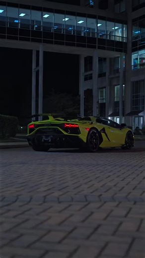 brandon Fraser (@brandon.fraser77)’s videos with MONTAGEM TOMADA（PHONK ）（Billion Waves Remix） - Billion Waves