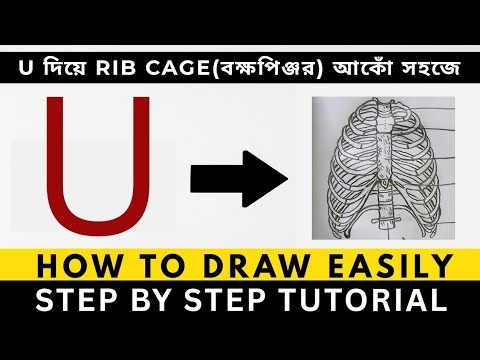 Letter U দিয়ে Human Rib Cage আঁকা | Simple & Easy Drawing Tutorial #foryou 