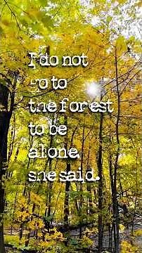 Into the Forest-flute meditation w/ words of Fia & Kai Sky.🪈🍁🍂 ☮️ #forestbathing #forest #flute