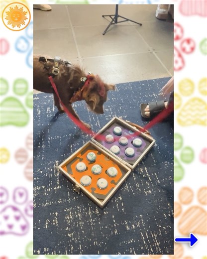 CBS Mornings on Reels