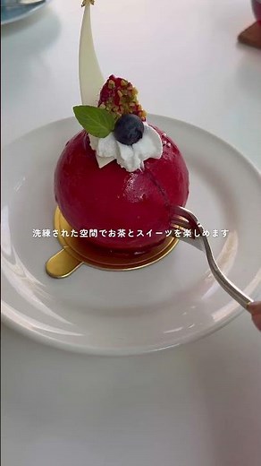 箱根ひとり旅おすすめスポット🌸