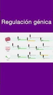 Gene regulation