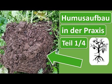 Humusaufbau für Praktiker - Böden richtig beurteilen und Entscheidungen treffen