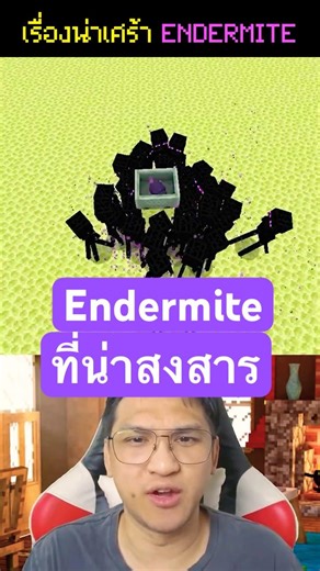 👾Endermite and a sad story😭 in Minecraft📦