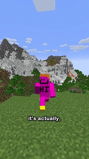 The Glitch To Get An Elytra | elytra minecraft