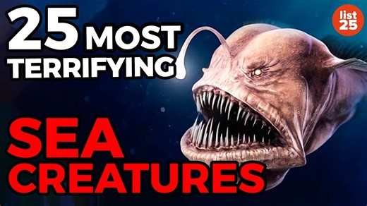 25 sea creatures that look like they’re from a nightmare