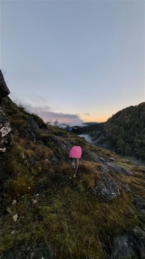 Clouds Below, Whippets Ahead