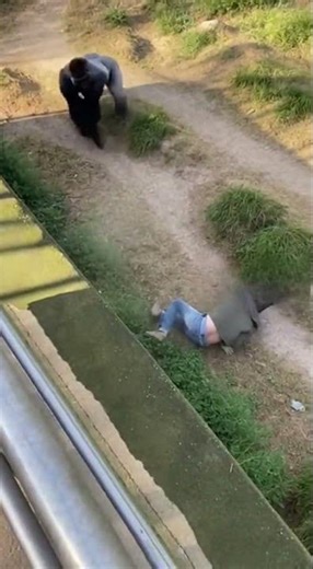 Falling into the Wild Zone.