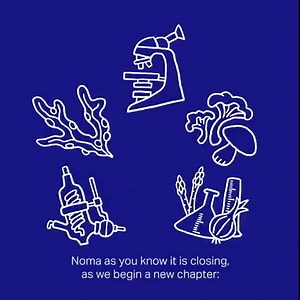 To continue being noma, we must change. Therefore, dear guests and friends, we have some exciting news to share. Winter 2024 will be the last season of noma as we know it. We are beginning a new chapter; noma 3.0. Learn more about the future of noma at https://noma.dk/nomathreepointzero/ . We hope you’ll join us on this new journey. | Noma