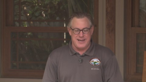 Applications open for elk hunting in Arkansas | Outdoor Report