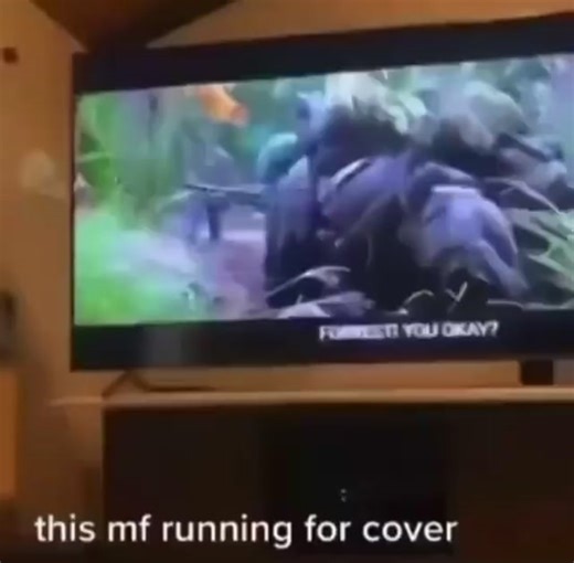 #lowqualitymemes #lowqualityvideos #lowqualityvideo #lowquality