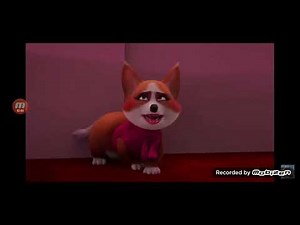 The Queens Corgi Mitzi clips