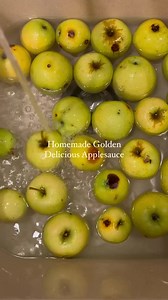 8.8K views · 122 reactions | Freezer applesauce recipe: Peel and core...