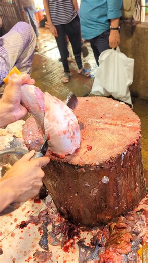 Knife & Fish on Instagram: ""Perfect Golden carp Filleting – Smooth Cutting Skills" #fblifestyle #thanksgivingweek #localgiveaway #giveaways #familygathering #sundayfunday #usa #usafood #fishcut #fishcutting #bigfish #seafood #PumpkinSpice #foodsharing #kitchenappliance #householditems #homelife"