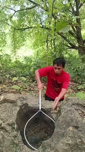 The moments of catching a jungle fowl #release #fypシ゚viral