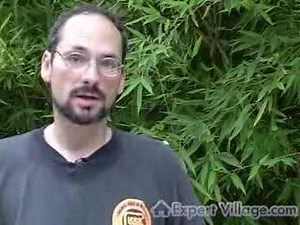 Target Shooting with Rifles & Pistols: Practice Tips for the Gun Range : Using Gun Sights for Target Shooting: Practice Tips for the Gun Range