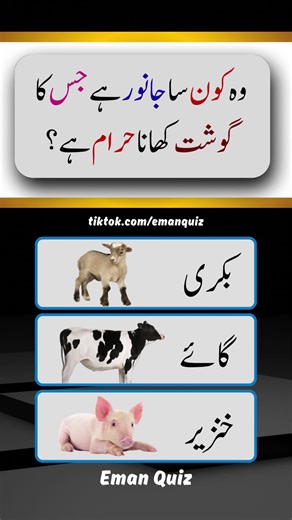 Animals Quiz: Test Your General Knowledge