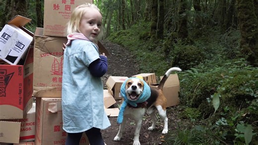 Beagle dogs play real-life Angry Birds with little girl