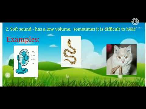 Science 4 Examples of loud and soft sounds