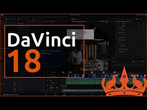 Davinci Resolve 18 Free or Studio version - Ubuntu 24.04 Noble Numbat