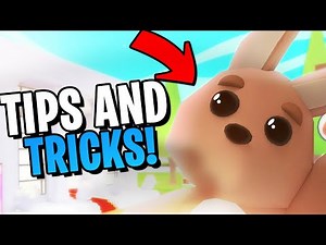 Tips & Tricks Beginners Guide To Roblox Adopt Me!!