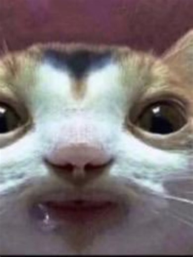 Exploring Hyuna's Alien Stage Concept