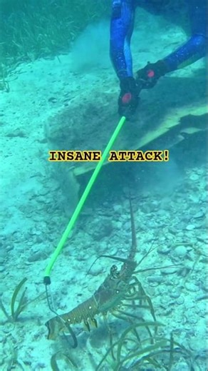 Monster Lobster EXPLODED Out of the Crevice! 🦞😱