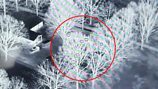 Drone technology helps Monroe Fire Department locate leaf fire