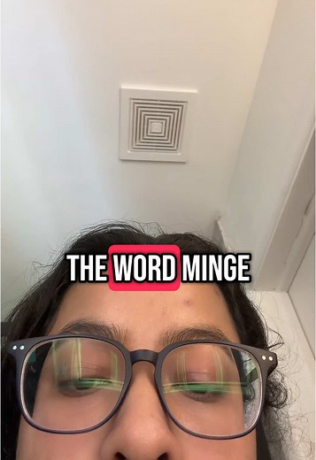 Understanding the British Term 'Minge'