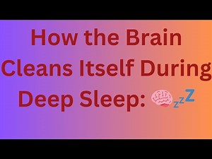 How the Brain Cleans Itself During Deep Sleep: The Glymphatic System Explained 🧠💤