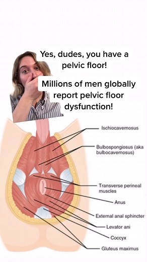 Effective Treatments for Male Pelvic Floor Dysfunction