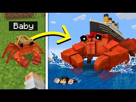 Can You Keep CRABTANIC as a Pet?