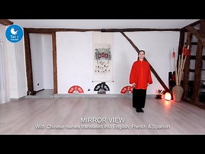 Yang style Tai Chi 8 form MIRROR VIEW by Patrizia with moves names in EN, FR & ES