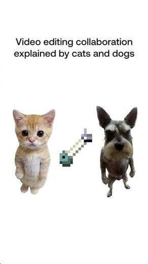 Cats Explain Collaborative Video Editing