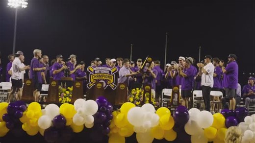 4.6K reactions · 83 comments | For others, baseball is a game, but for the Tigers of LSU, baseball is life. | LSU Baseball | Facebook