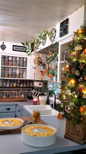 Dehydrating oranges and using the scraps for a vinegar infusion on a stormy day. 🧚‍♀️ Learn how to successfully dehydrate, store and use dried citrus in my new cookbook, Preserving the Seasons: A Guide to Canned, Jammed, Frozen, Dehydrated, Freeze-Dried, Quick Pickled and Infused Produce, Herbs and Flowers. Available now online and on the shelves at various retailers, order through your local bookstore or click the link in my bio! 🌿🌺🍇🫑🍏 #giftidea #giftideas #kitchen #preserving #preserving