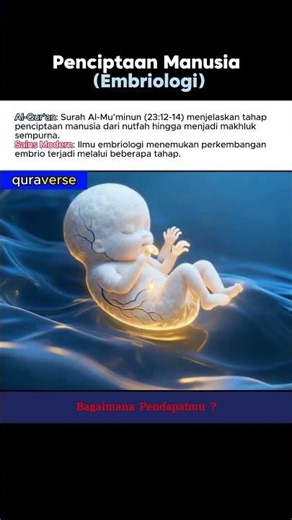 Penciptaan Manusia (Embriologi)