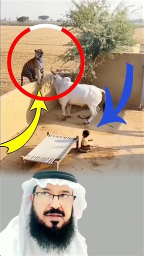 درعٌ بشري.. بقلب حيوان#اكسبلور #اقتباسات #explore #art