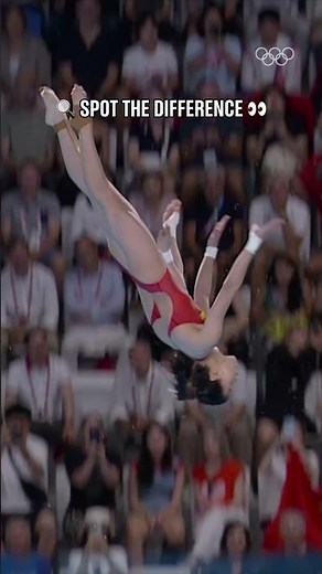 Diving perfection. 🤩