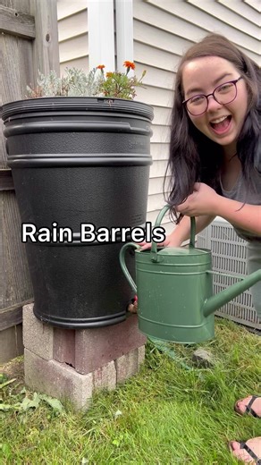 Collecting Rainwater for Eco-Friendly Water Conservation