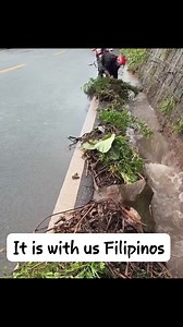 583K views · 10K reactions | Truly, we have a lot to blame, but look,...