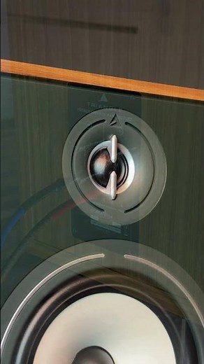 The New Star of the Borea Series | TRIANGLE BR04 #hifi