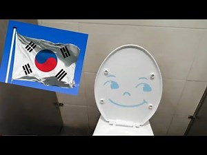 🇰🇷 KOREA TOILET 🇰🇷= "DAELIM bowl with a funny toilet seat"