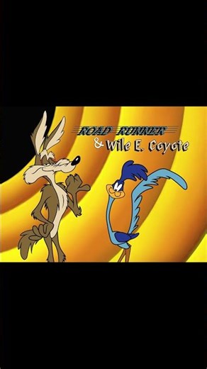 Who is Wile E. Coyote and the Road Runner?