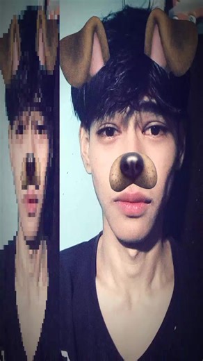 Exploring the 10 FPS TikTok Trend with Dog Filter