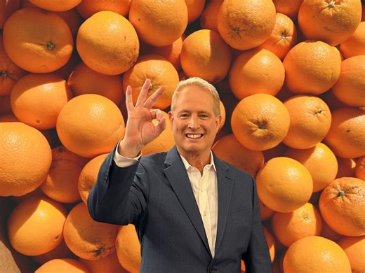 Play my Memory Game: Refreshing Citrus - CyberGuy