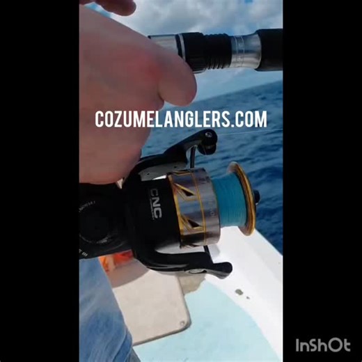 🎣 Bottom Fishing for AMBERJACK in Cozumel & Playa del Carmen 🐟🔥 Hard hits. Deep drops. Serious power. This is bottom fishing in Cozumel and Playa del Carmen, where Amberjack test your strength and deliver unforgettable fights 💪⚓ Whether you’re visiting Cozumel on a cruise or staying in Playa del Carmen, our private fishing charters take you straight to proven bottom fishing spots with experienced local captains who know these waters 🌊 ✅ Target Amberjack, Grouper & Snapper ✅ Private boats – 