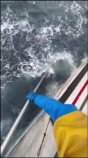 King of the rúlla 🤴🏼