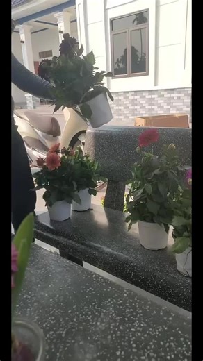 #tiktoklive #livehighlights