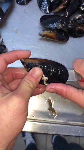 How to Open Mussels: A Step-by-Step Guide